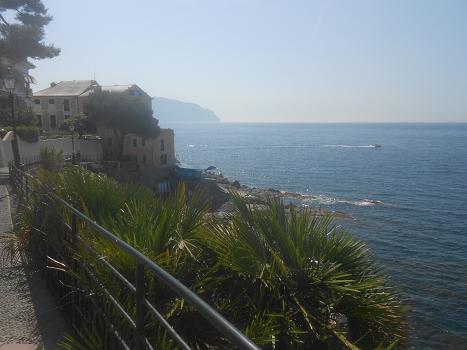 Bogliasco (5)
