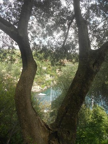 Portofino (21)