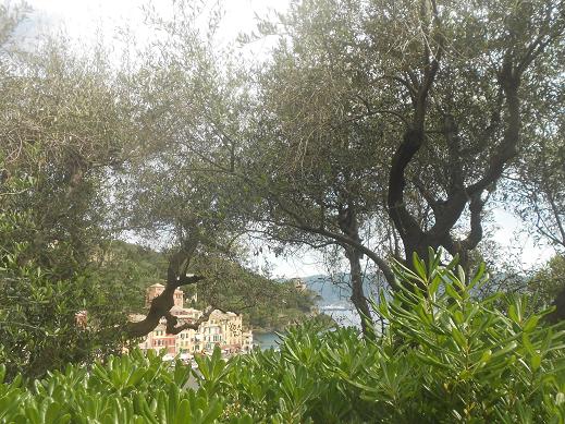 Portofino (4)