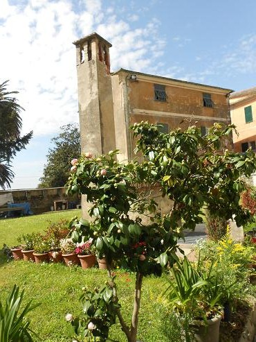 Basilica dei Fieschi (15)