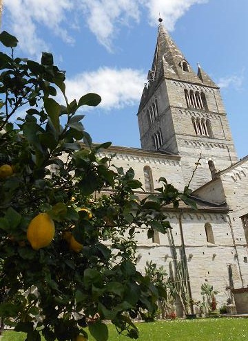 Basilica dei Fieschi (16)