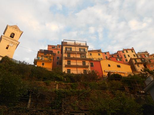 Manarola (14)