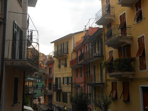 Manarola (15)
