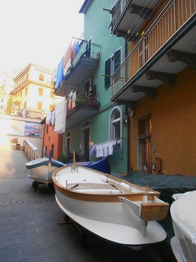 Manarola (20)
