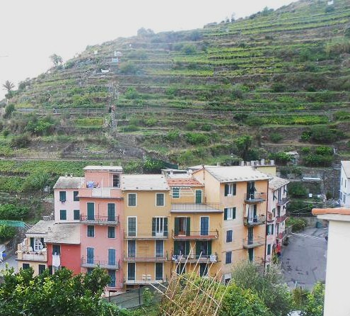 Manarola (5)
