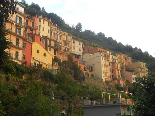 Manarola (6)