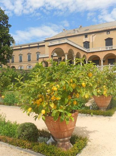 Villa del Principe (3)