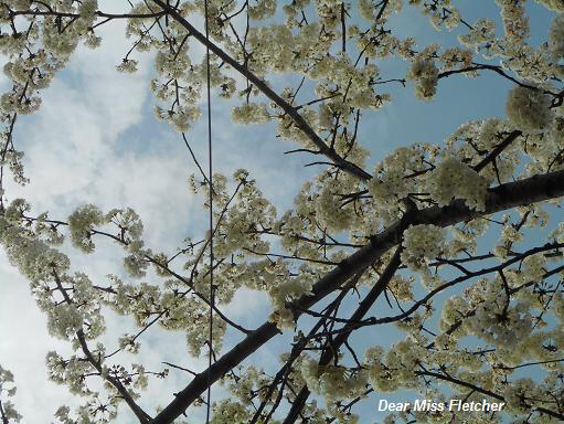 Villa Spinola Dufour (12)