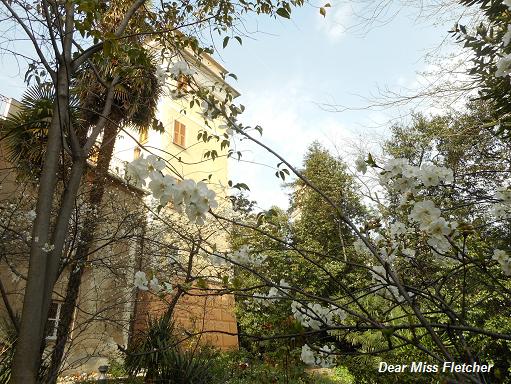 Villa Spinola Dufour (2)