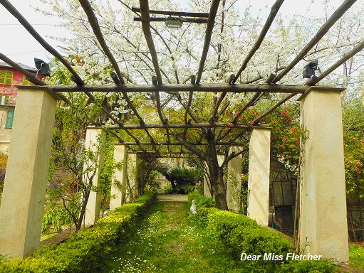 Villa Spinola Dufour (3)