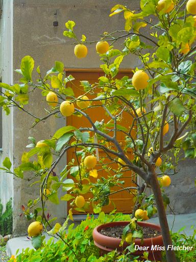 Villa Spinola Dufour (7)